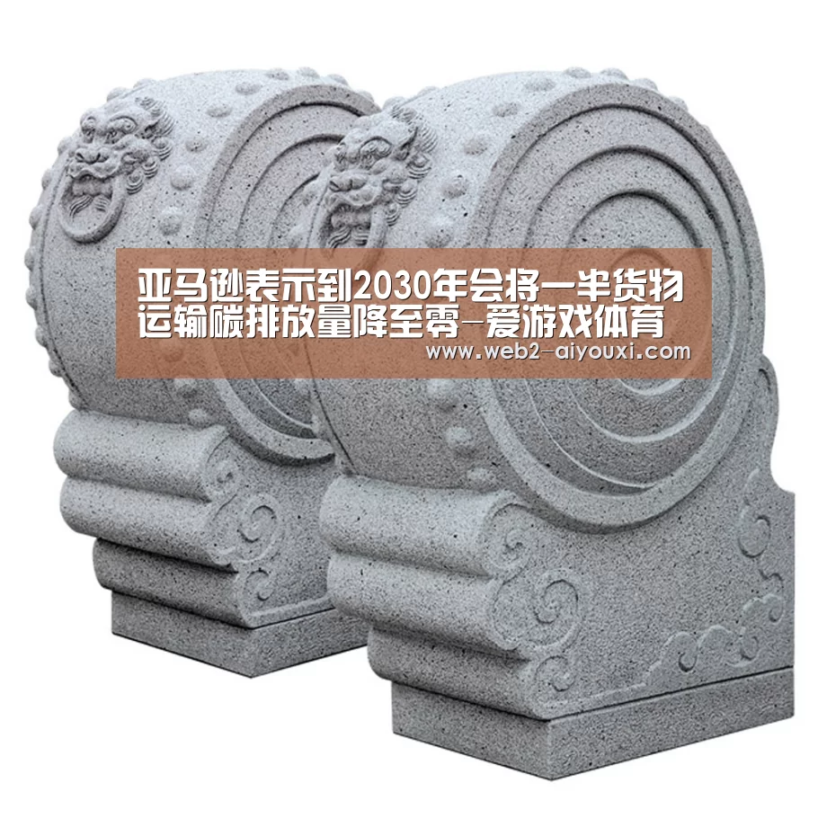 亚马逊表示到2030年会将一半货物运输碳排放量降至零-爱游戏体育(图3) 爱游戏平台