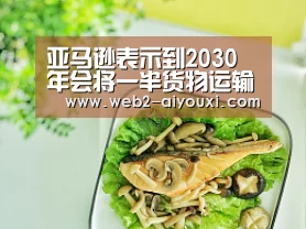 亚马逊表示到2030年会将一半货物运输碳排放量降至零-爱游戏体育(图1) 爱游戏体育