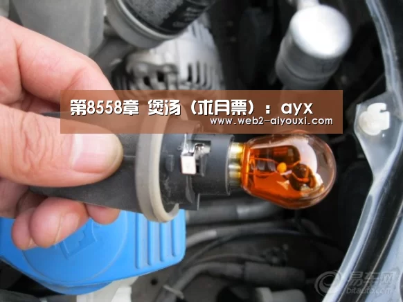 第8558章 煲汤(求月票):ayx(图2) 爱游戏体育