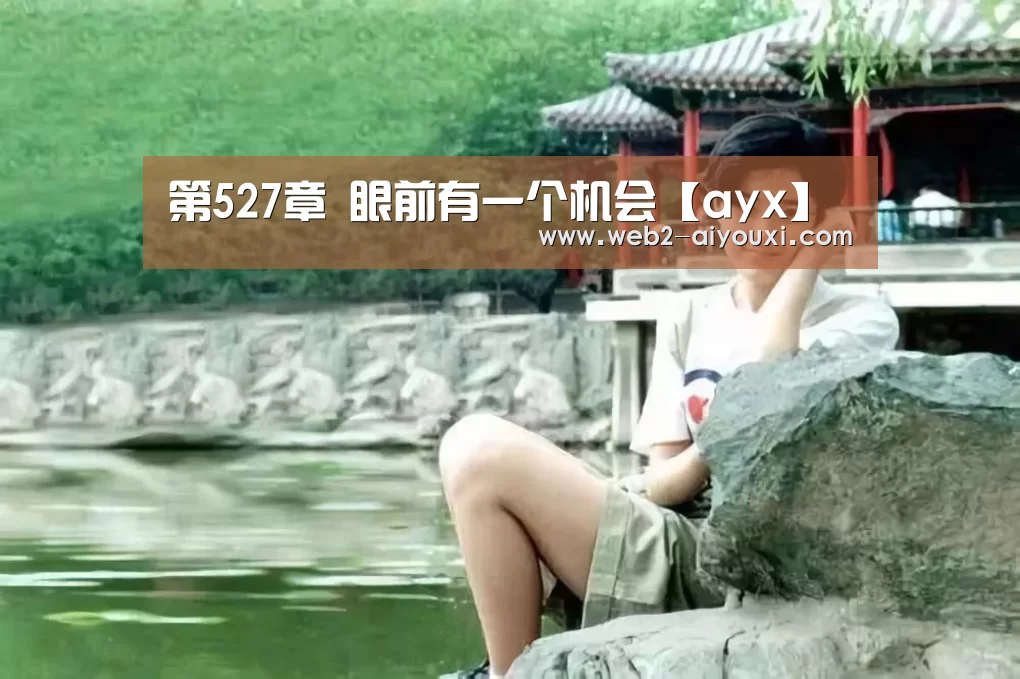 第527章 眼前有一个机会【ayx】(图3) 爱游戏体育app