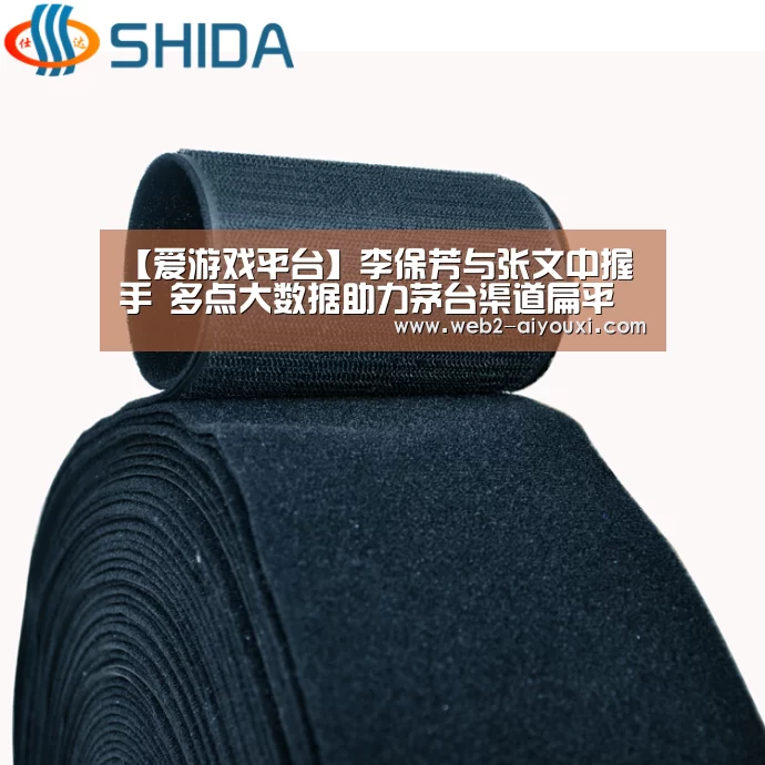 【爱游戏平台】李保芳与张文中握手 多点大数据助力茅台渠道扁平化(图3) 爱游戏体育