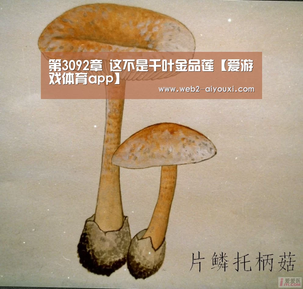 第3092章 这不是千叶金品莲【爱游戏体育app】(图1)