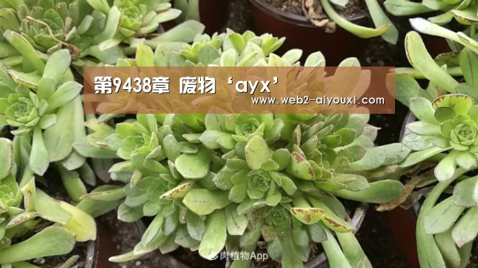 第9438章 废物‘ayx’(图1) 第9438章 废物‘ayx’(图1)